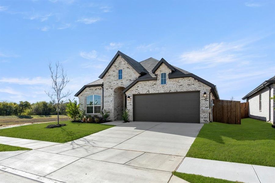 10360 Tapioca- Front-2 10360 Tapioca- Front-2