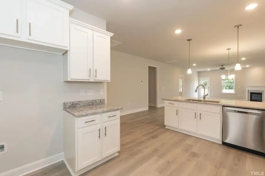 Furnished interior view inside a new home in East Lake, Leland (Image 6).