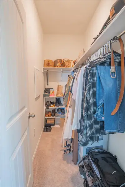 Walk-in closet featuring built-in shelving, carpet flooring, and a white paneled door Walk-in closet featuring built-in shelving, carpet flooring, and a white paneled door