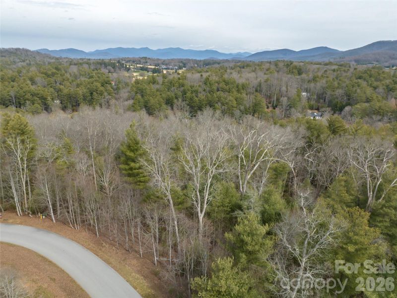 Natural landscape and outdoor views near  in Asheville (Image 21).