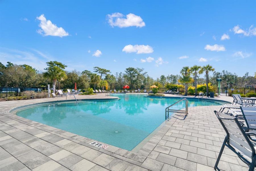 Community amenities in , Wesley Chapel (Image 40).