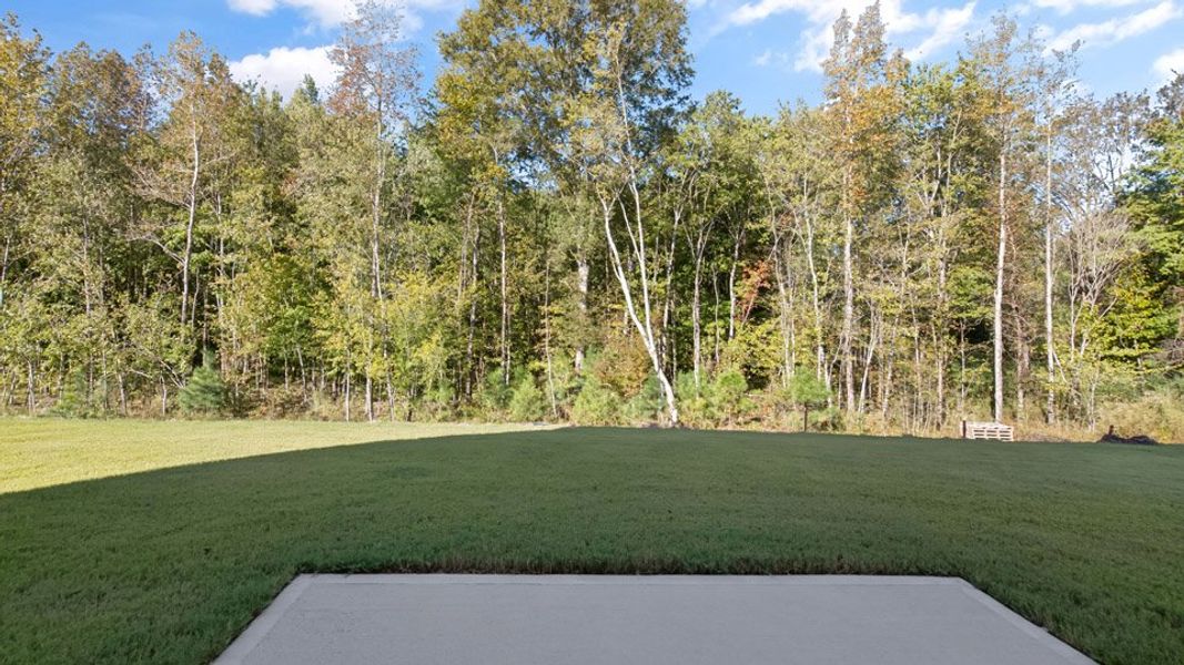 Exterior details and patio area of a home in Olive Branch, Clayton (Image 3).