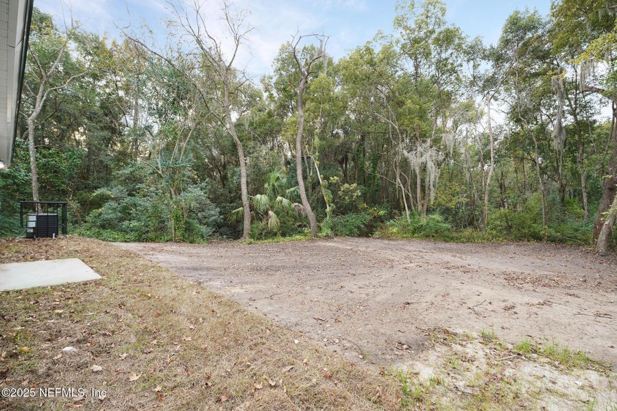 Natural landscape and outdoor views near  in Jacksonville (Image 28).