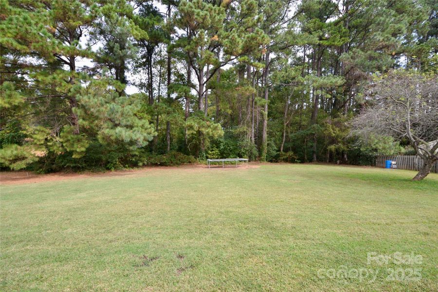 Natural landscape and outdoor views near in Lexington (Image 23). Natural landscape and outdoor views near in Lexington (Image 23).