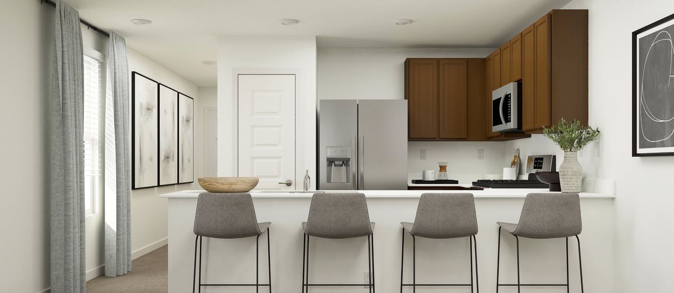 Brower Residence Kitchen