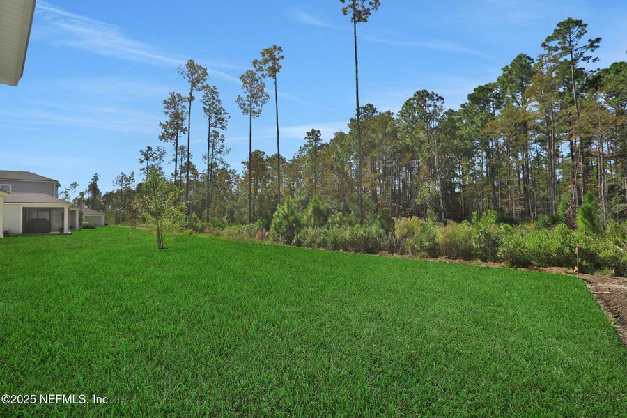 Natural landscape and outdoor views near Cordova Palms in St. Augustine (Image 39).