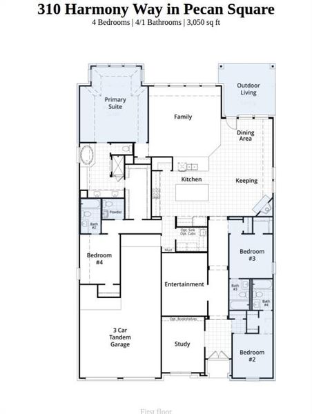 2D floor plan layout of this home in Pecan Square, Northlake, TX (Image 2).
