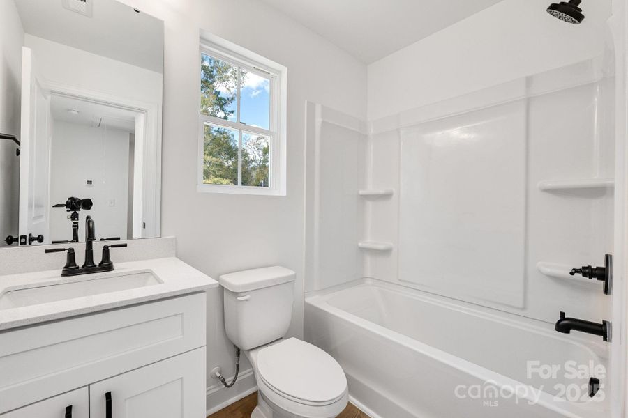 Representative Photos