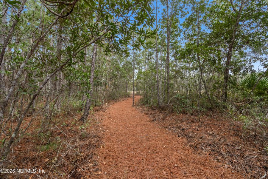 Natural landscape and outdoor views near Evergreen Island at Silverleaf - Executive in St. Augustine (Image 11).