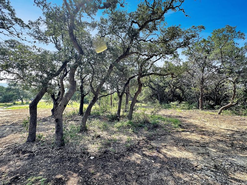 Natural landscape and outdoor views near  in Canyon Lake (Image 26).