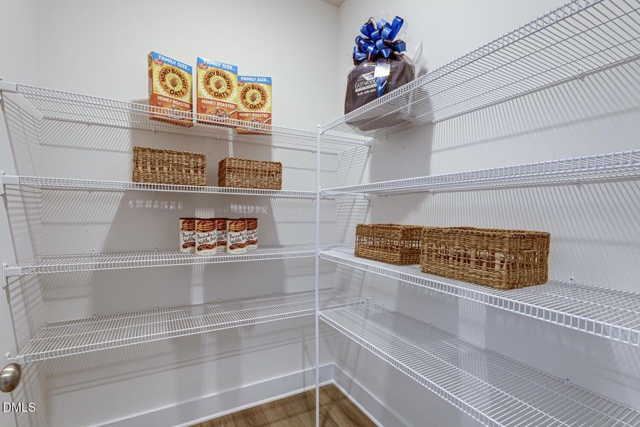 ford meadows 011_362