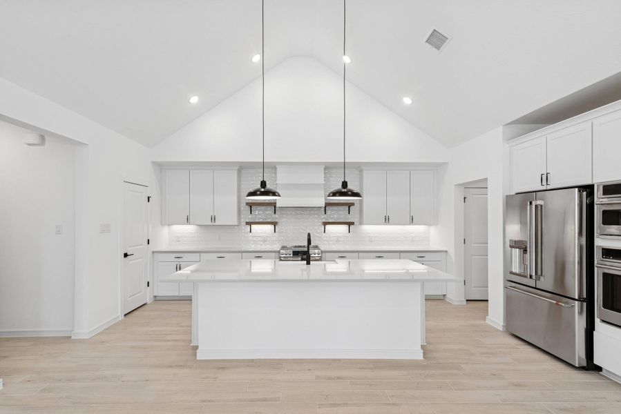 Gourmet island kitchen