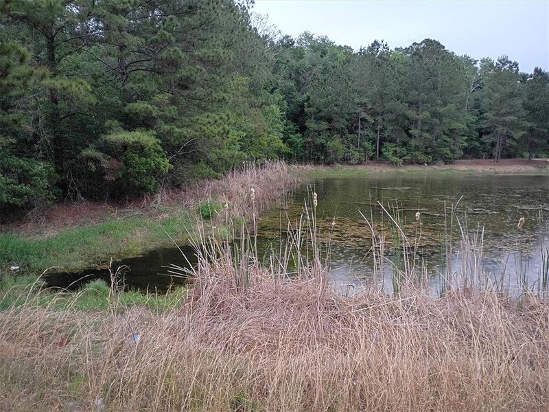 Natural landscape and outdoor views near  in Lake City (Image 77).