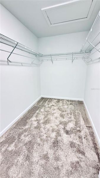 Spacious, unfurnished interior of a new home in , Kissimmee (Image 20).