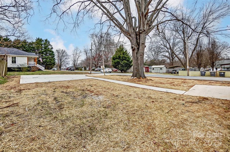 Backyard w/ Back Patio, Walkway, and Driveway