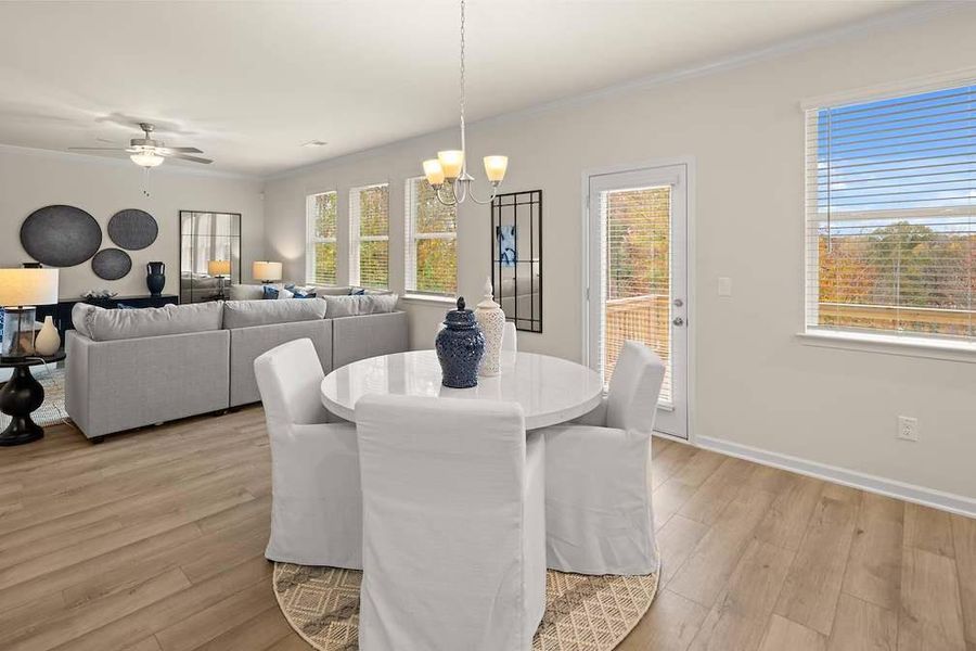 Furnished interior view inside a new home in Etowah Landing, Ball Ground (Image 29).