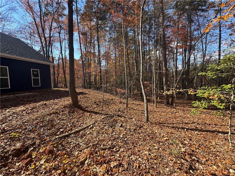 Natural landscape and outdoor views near in Dawsonville (Image 6). Natural landscape and outdoor views near in Dawsonville (Image 6).