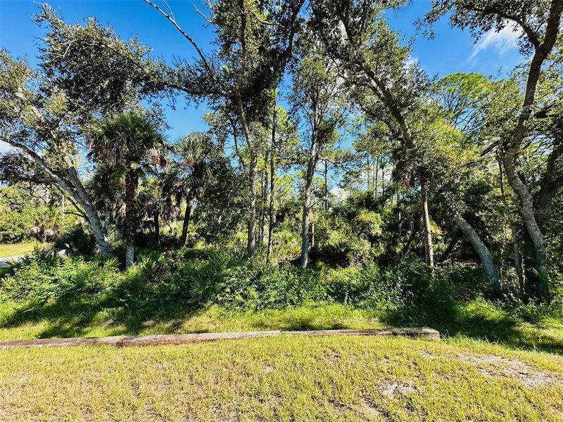 Natural landscape and outdoor views near  in Port Charlotte (Image 31).