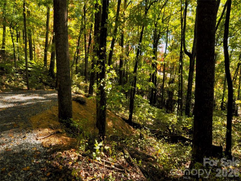 Natural landscape and outdoor views near in Arden (Image 19). Natural landscape and outdoor views near in Arden (Image 19).