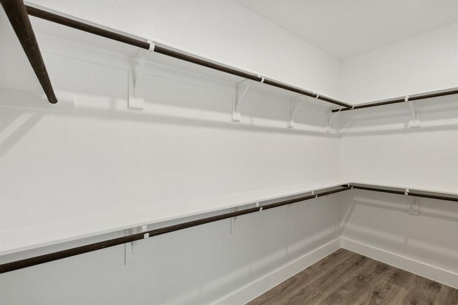 Spacious closet with dark wood-type flooring