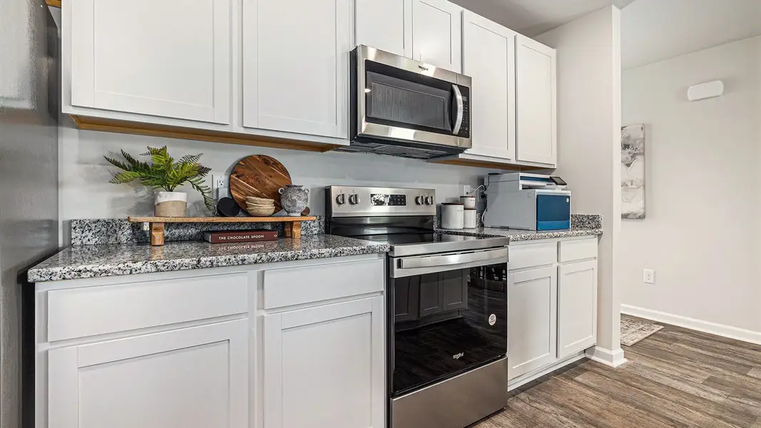 Furnished interior view inside a new home in Jordanville Farms, Galivants Ferry (Image 4).