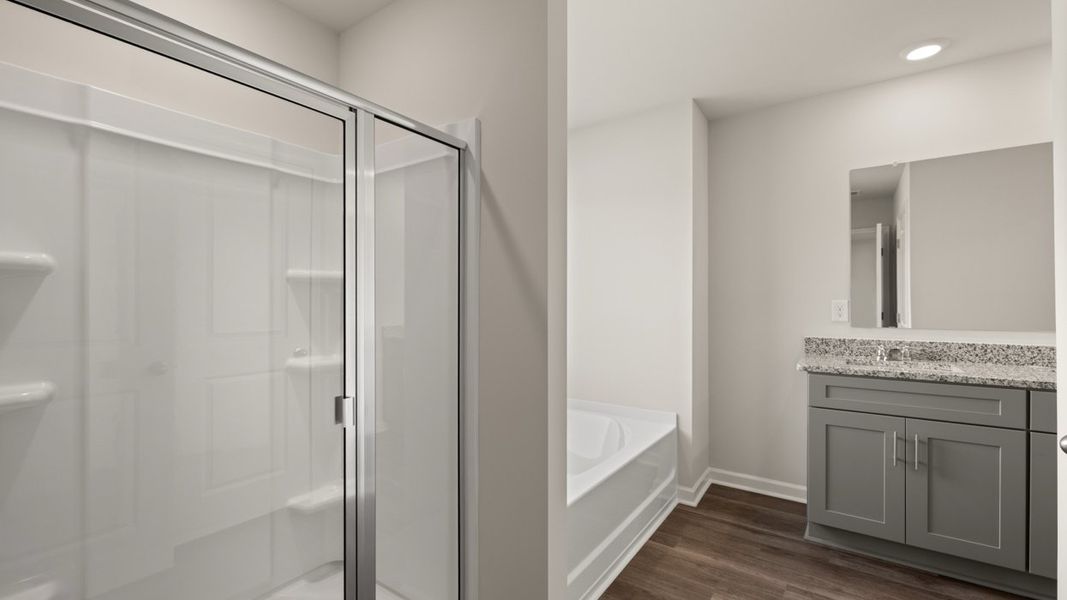 Representative furnished interior of a home built from the Ansley by D.R. Horton in Highland Hills, Graniteville (Image 8). Representative furnished interior of a home built from the Ansley by D.R. Horton in Highland Hills, Graniteville (Image 8).