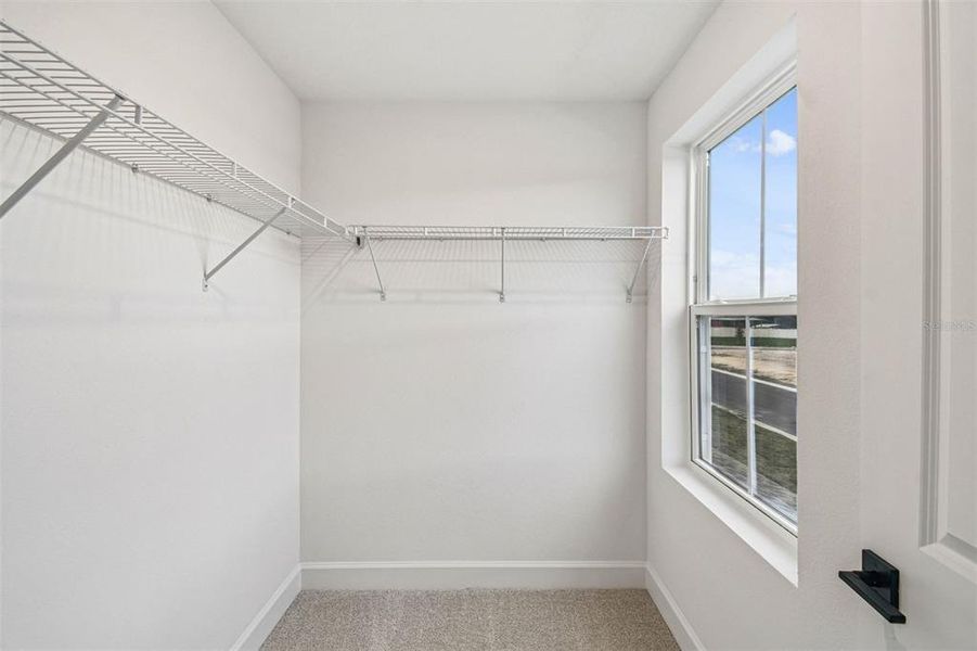 Spacious, unfurnished interior of a new home in Aspire at Canter Creek, Davenport (Image 24).