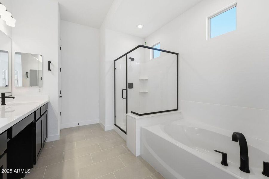 4103 E BRITTLEBUSH Lane - Ready Now!