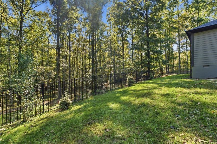 Natural landscape and outdoor views near  in Auburn (Image 74).