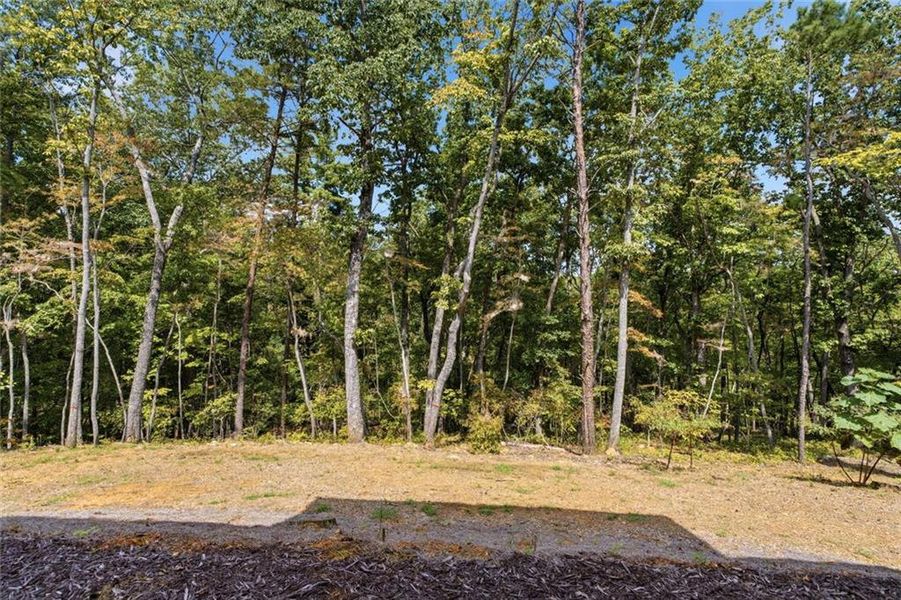 Natural landscape and outdoor views near  in Ball Ground (Image 61).