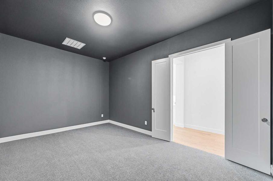 Entertainment Room