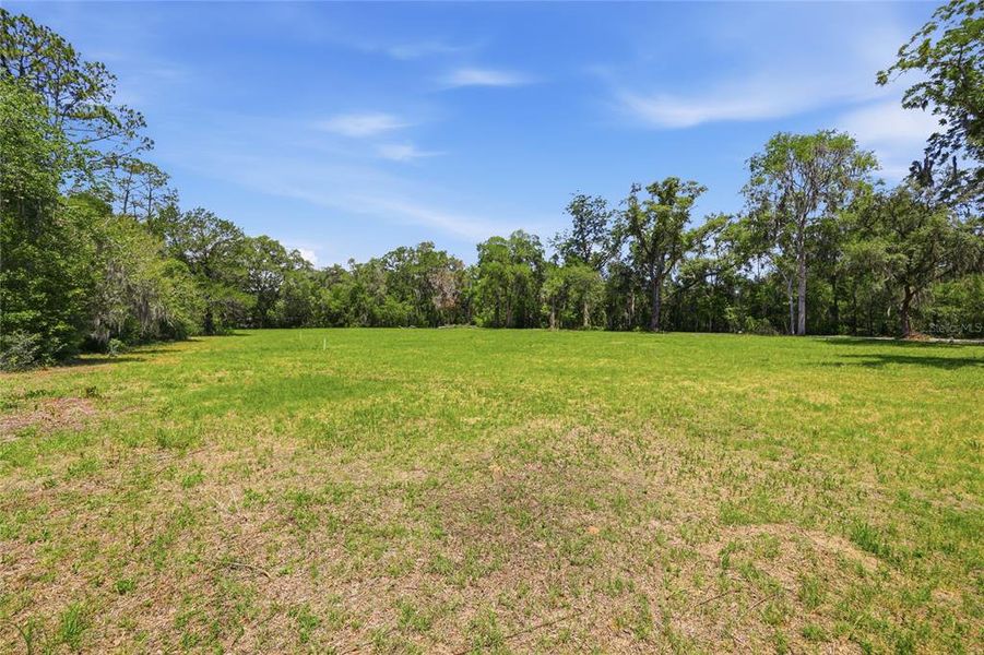 Natural landscape and outdoor views near  in Newberry (Image 17).