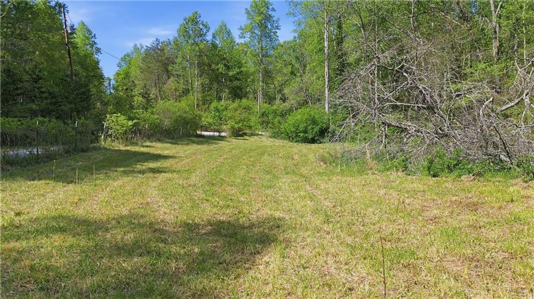 Natural landscape and outdoor views near  in Demorest (Image 56).