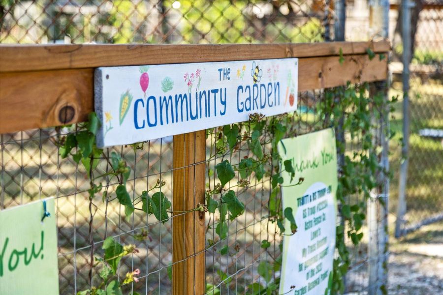 Charming view of the local Community Garden, a beloved feature of the Garden Oaks neighborhood anda vibrant extension of the Garden Oaks Montessori School campus. This inviting space is thoughtfullymaintained and serves as an outdoor classroom and gathering area where students, families, and neighborscome together to grow vegetables, herbs, and native plants.