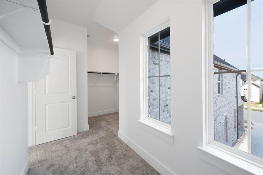 Spacious closet featuring light carpet