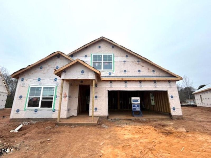 IMG_5253 (Medium) IMG_5253 (Medium)