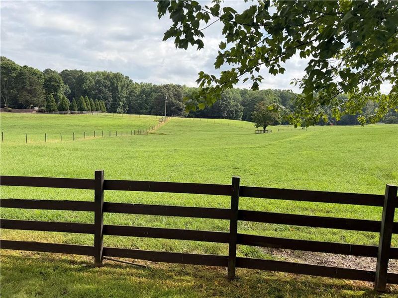 Natural landscape and outdoor views near  in Dacula (Image 61).