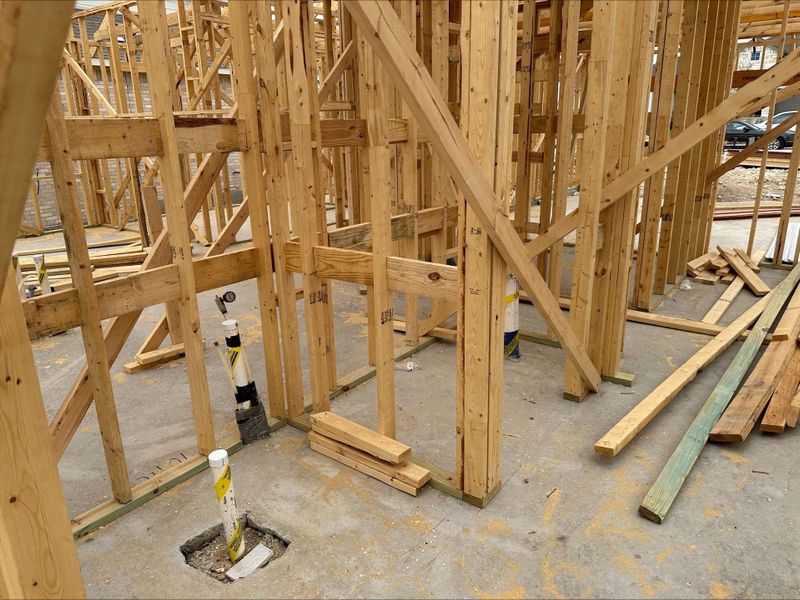 220 Wingstem Way - Under Construction