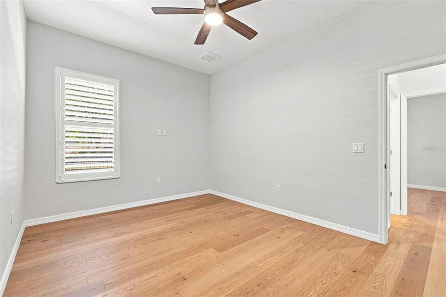 Spacious, unfurnished interior of a new home in , Dunedin (Image 23).