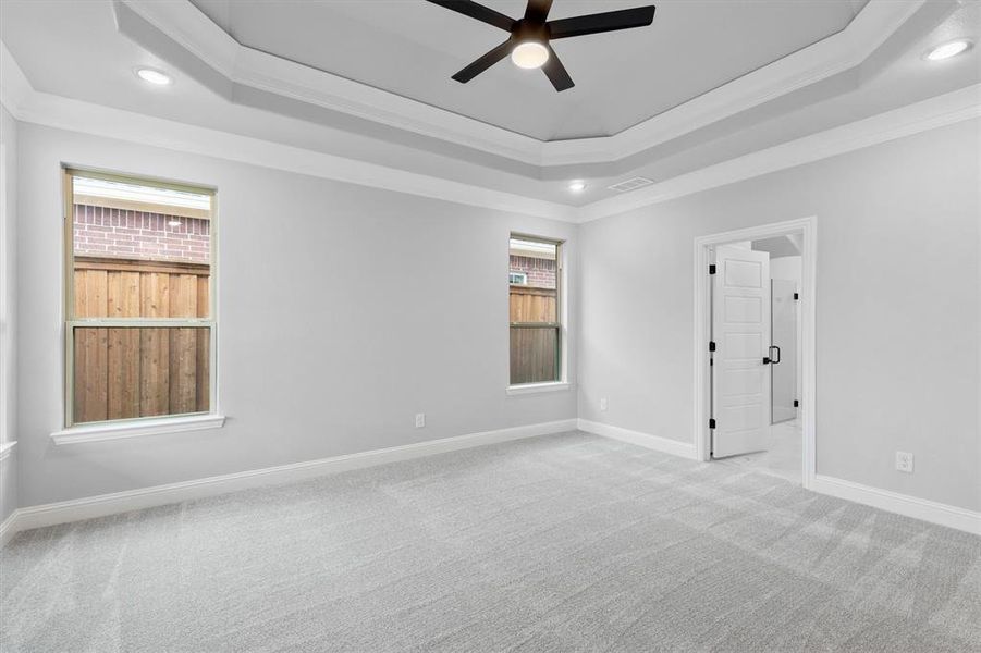 Carpeted spare room with ornamental molding, a tray ceiling, and ceiling fan