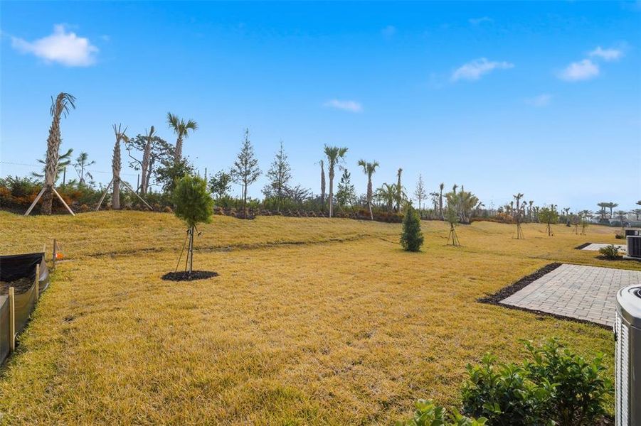 Natural landscape and outdoor views near Valencia Ridge in Wesley Chapel (Image 29).