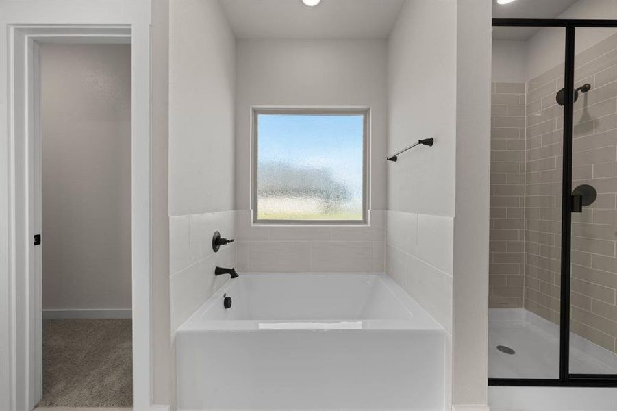 7578 Wild Mint- Primary Suite-4 7578 Wild Mint- Primary Suite-4