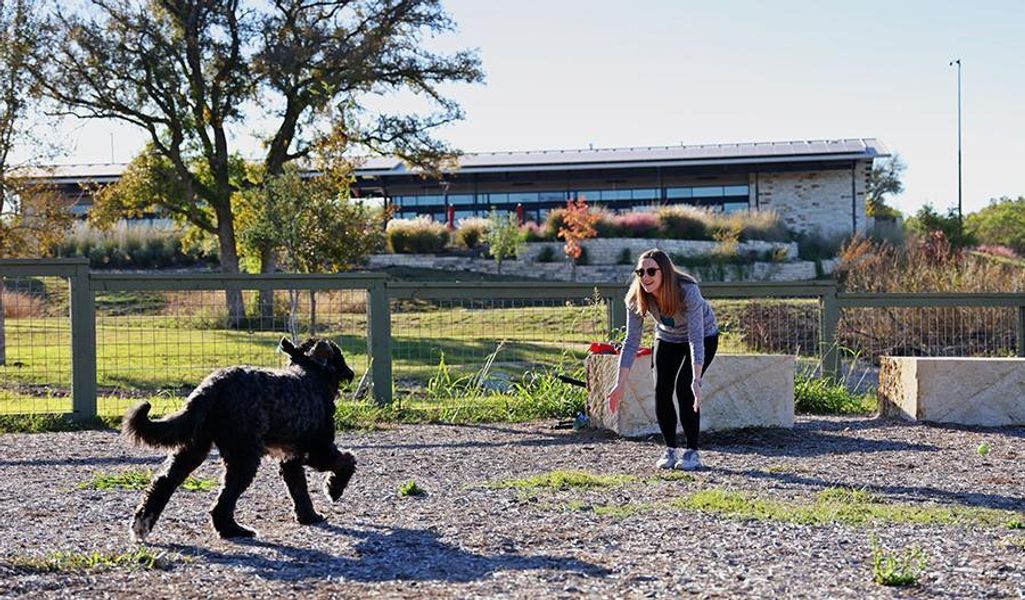 Dog Park