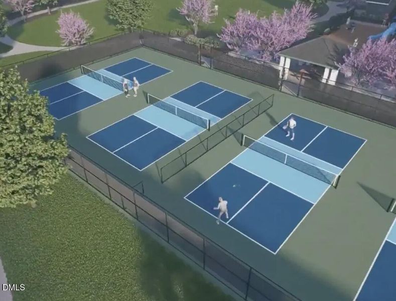 Pickle Ball