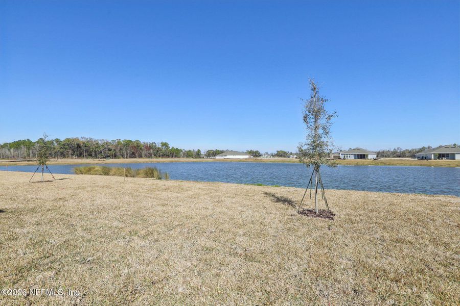 Natural landscape and outdoor views near Colbert Landings in Palm Coast (Image 40). Natural landscape and outdoor views near Colbert Landings in Palm Coast (Image 40).