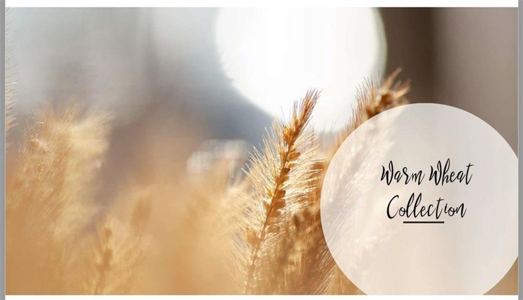 Image 48 of a home in IveyBrooke.