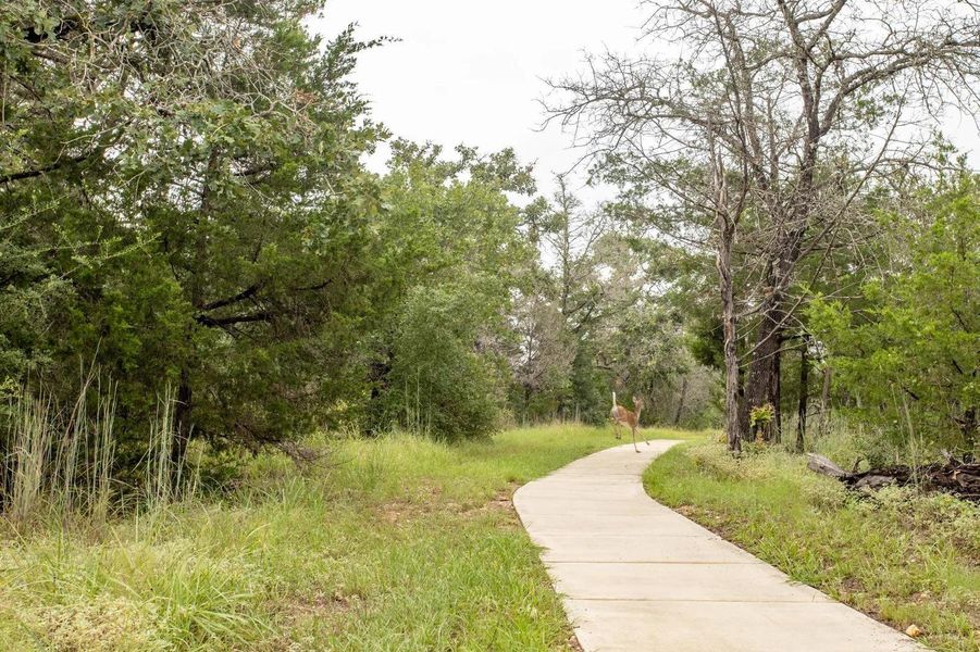 Natural landscape and outdoor views near The Colony - 50' in Bastrop (Image 22).