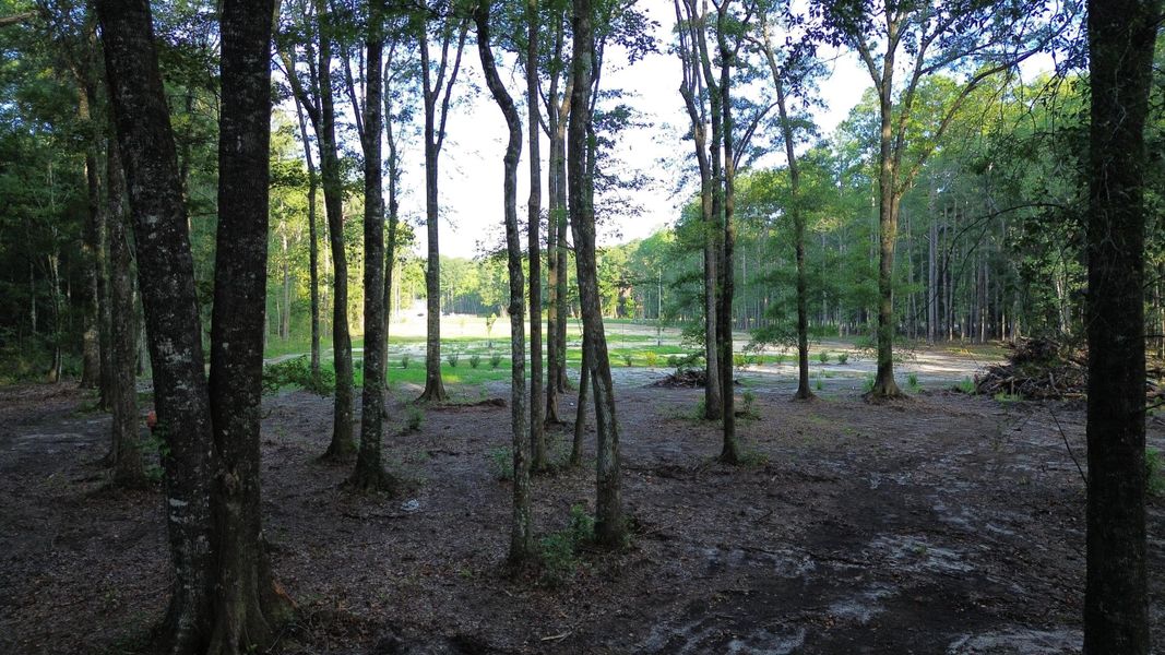 Natural landscape and outdoor views near in Ridgeville (Image 32). Natural landscape and outdoor views near in Ridgeville (Image 32).