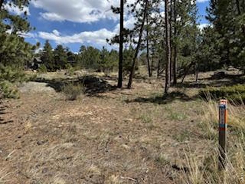 Natural landscape and outdoor views near  in Red Feather Lakes (Image 27).