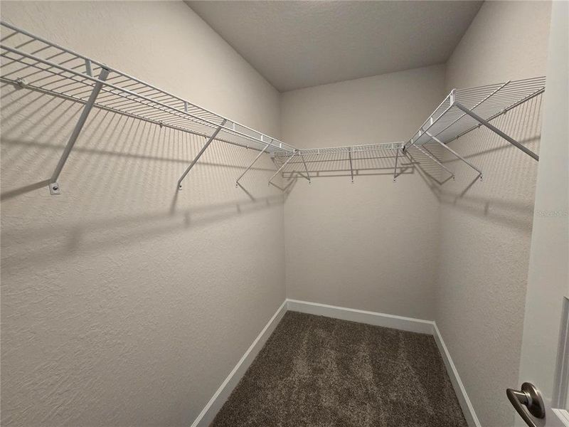 Spacious, unfurnished interior of a new home in Twisted Oaks, Beverly Hills (Image 33). Spacious, unfurnished interior of a new home in Twisted Oaks, Beverly Hills (Image 33).